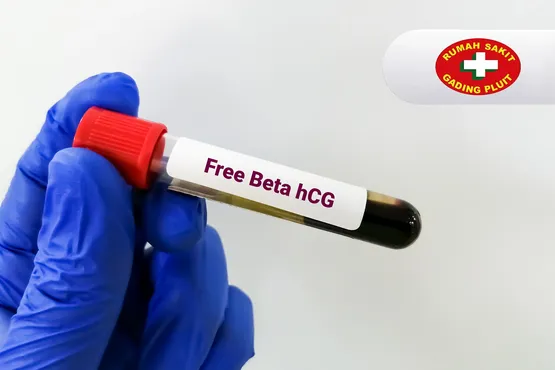 Beta HCG (Serum)