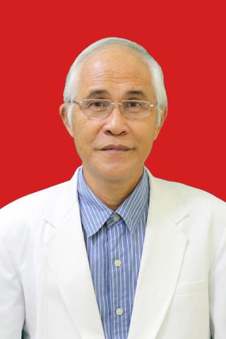 Foto Prof. Dr. dr.  Max Frans Jozef Mantik Sp.A(K), Subsp.HO